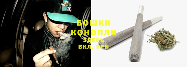соль ск Семилуки
